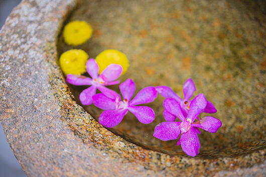 ¿Qué es una sesión de Naturopatía?