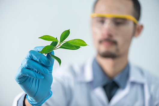 Naturopatía ortomolecular