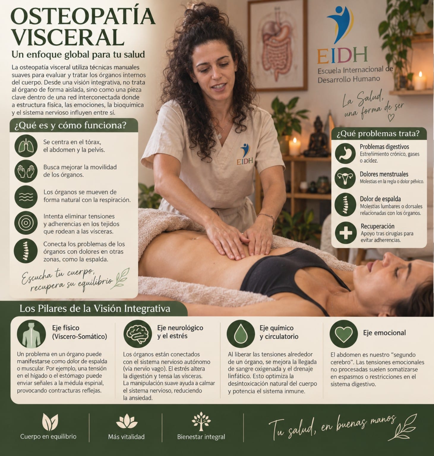 Osteopatía visceral: lámina informativa de la sesión